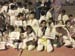 22nd-Quaid-e-Azam-open-taekwondo-championship-2015z32