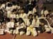 22nd-Quaid-e-Azam-open-taekwondo-championship-2015z50