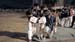22nd-Quaid-e-Azam-open-taekwondo-championship-2015z8