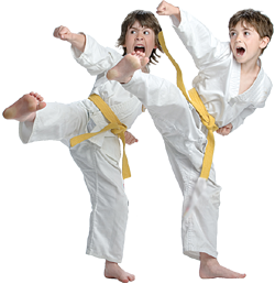 MARTIAL ARTS GAMES, SUMMER CAMP for KIDS, boys girls taekwondo training, karate summer camp 2016