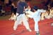 breaking-contest-taekwondo-0107