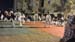 IMG-20150611-WA0019