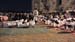 IMG-20150611-WA0029