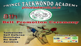 Taekwondo 4th Belt Promotion Test Prince Taekwondo Academy, summercamp 2014, self-defense nunchaku taekwondo yongmoodo hapkido for boys girls