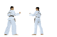 Taekwondo kicks