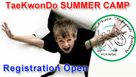 Taekwondo Karate kids summer camp Karachi, Karate Aerobics martial-arts summer camp by Prince Taekwondo Academy, Best Taekwondo martial-arts Club in Karachi Pakistan