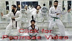 Kukkiwon Masters performing WTF Poomsae in training videos