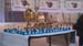 2nd-yongmoodo-championship-011